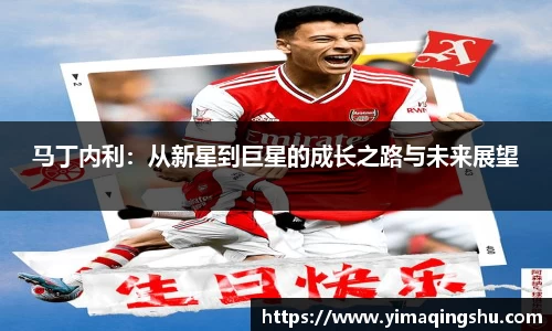 马丁内利：从新星到巨星的成长之路与未来展望