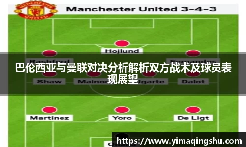 雷竞技官网地址